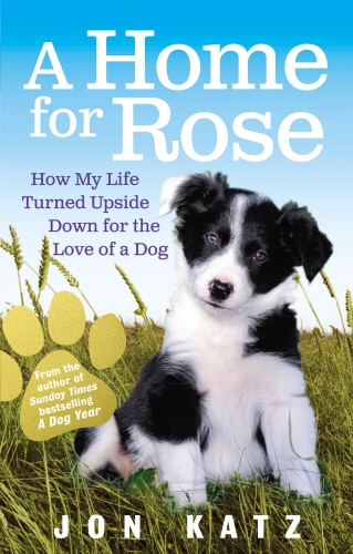 Book cover of A Home for Rose by Jon Katz