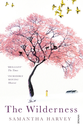 Book cover of The Wilderness by Samantha Harvey