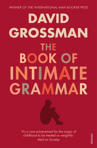 Book cover of The Book Of Intimate Grammar by David Grossman