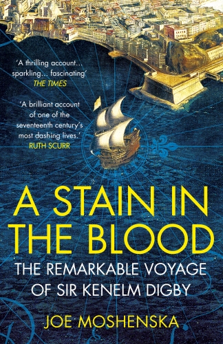 Book cover of A Stain in the Blood by Joe Moshenska