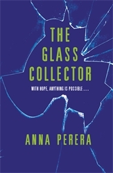 Book cover of The Glass Collector by Anna Perera
