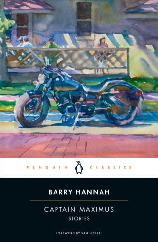 Book cover of Captain Maximus by Barry Hannah