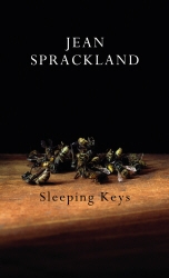Book cover of Sleeping Keys by Jean Sprackland