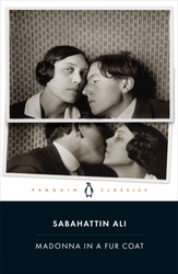 Book cover of Madonna in a Fur Coat by Sabahattin Ali