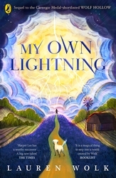 Book cover of My Own Lightning by Lauren Wolk