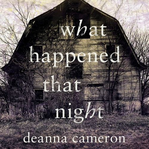 Book cover of What Happened That Night by Deanna Cameron