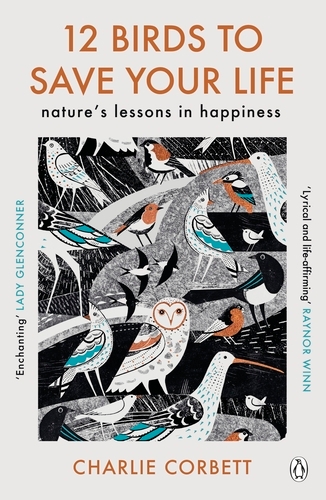 Book cover of 12 Birds to Save Your Life by Charlie Corbett