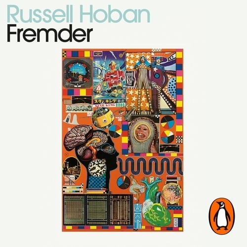 Book cover of Fremder by Russell Hoban
