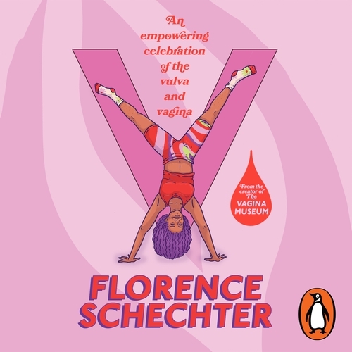 Book cover of V by Florence Schechter