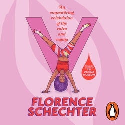 Book cover of V by Florence Schechter