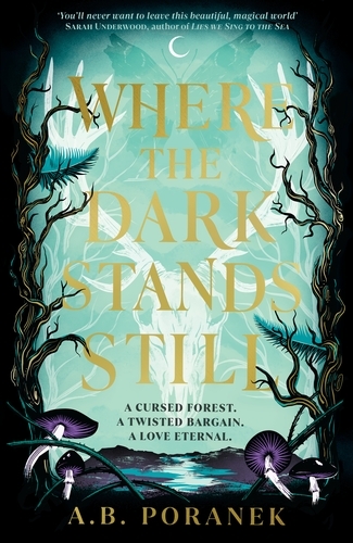 Book cover of Where the Dark Stands Still by A. B. Poranek