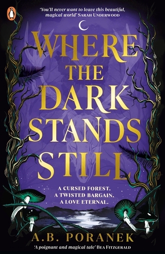 Book cover of Where the Dark Stands Still by A. B. Poranek