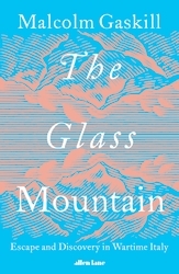 Book cover of The Glass Mountain by Malcolm Gaskill