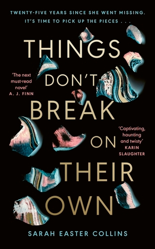 Book cover of Things Don’t Break On Their Own by Sarah Easter Collins
