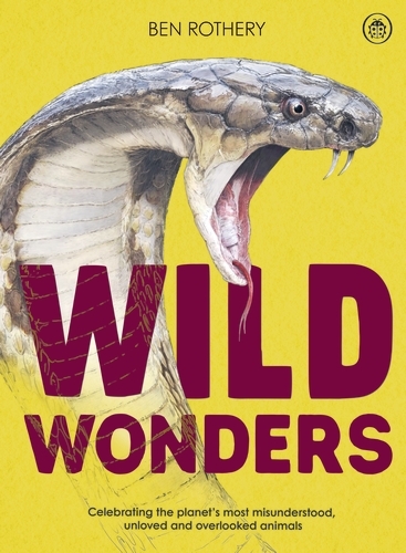 Book cover of Wild Wonders by Ben Rothery