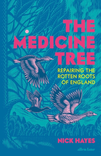 Image for The Medicine Tree