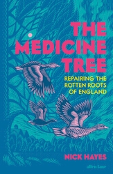Book cover of The Medicine Tree by Nick Hayes