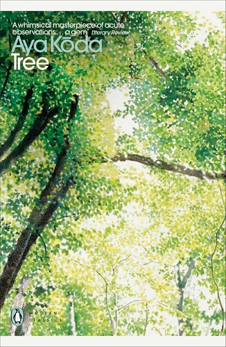Book cover of Tree by Aya Koda