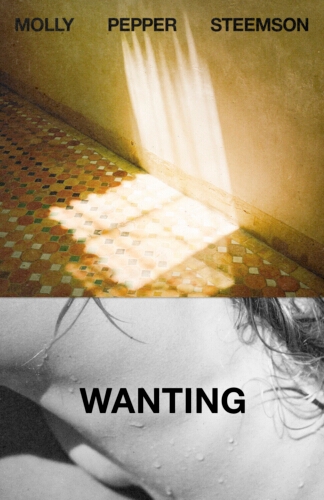 Book cover of Wanting by Molly Pepper Steemson