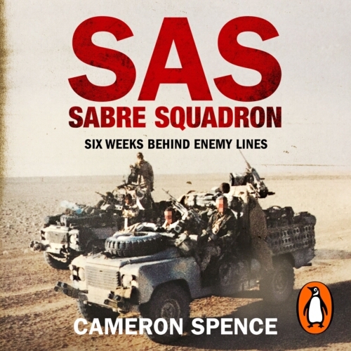 Book cover of Sabre Squadron by Cameron Spence