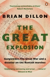 Book cover of The Great Explosion by Brian Dillon