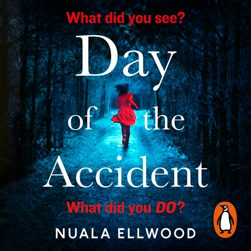 Book cover of Day of the Accident by Nuala Ellwood