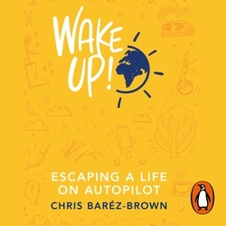 Book cover of Wake Up! by Chris Baréz-Brown