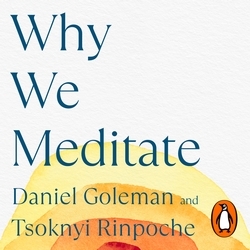 Book cover of Why We Meditate by Daniel Goleman, Tsoknyi Rinpoche