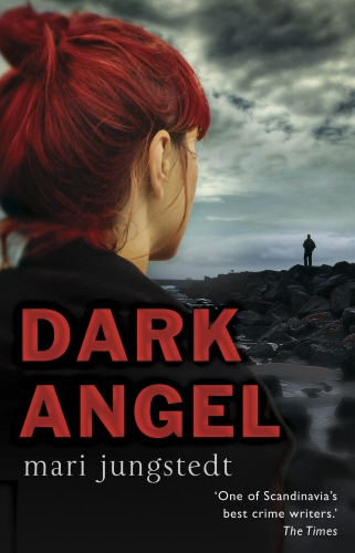 Book cover of Dark Angel by Mari Jungstedt