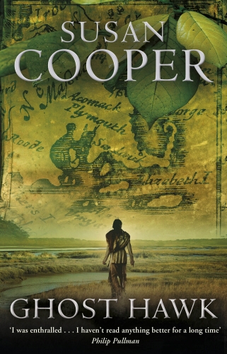 Book cover of Ghost Hawk by Susan Cooper