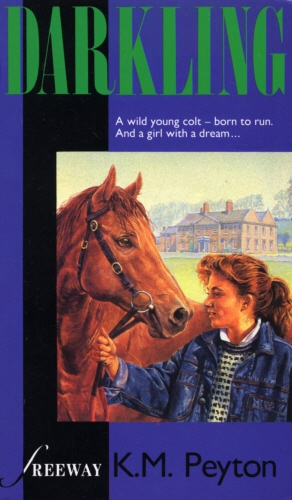 Book cover of Darkling by K M Peyton