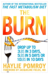Book cover of The Burn by Haylie Pomroy