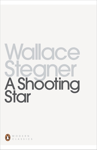 Book cover of A Shooting Star by Wallace Stegner