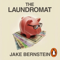 Book cover of The Laundromat by Jake Bernstein