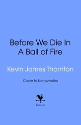 Book cover of Big Baby by Kevin James Thornton