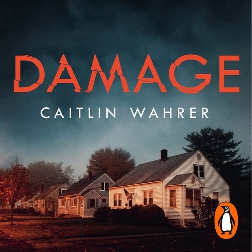 Book cover of Damage by Caitlin Wahrer