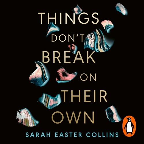 Book cover of Things Don’t Break On Their Own by Sarah Easter Collins