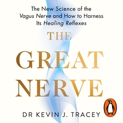 Book cover of The Great Nerve by Dr Kevin Tracey