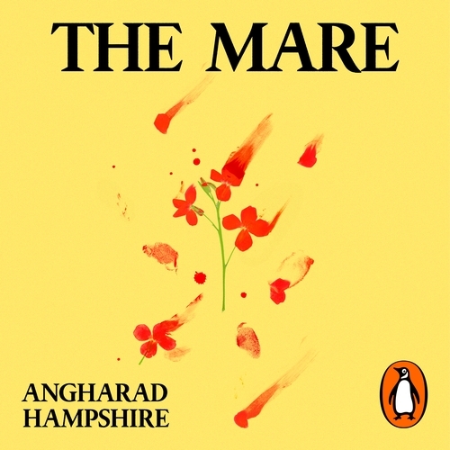 Book cover of The Mare by Angharad Hampshire