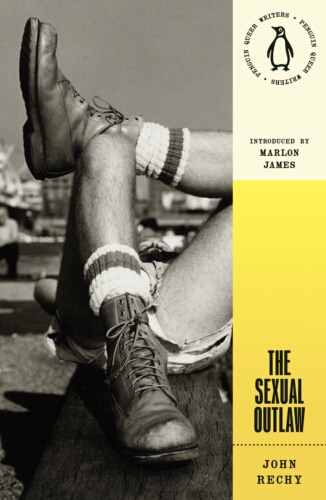 Book cover of The Sexual Outlaw by John Rechy