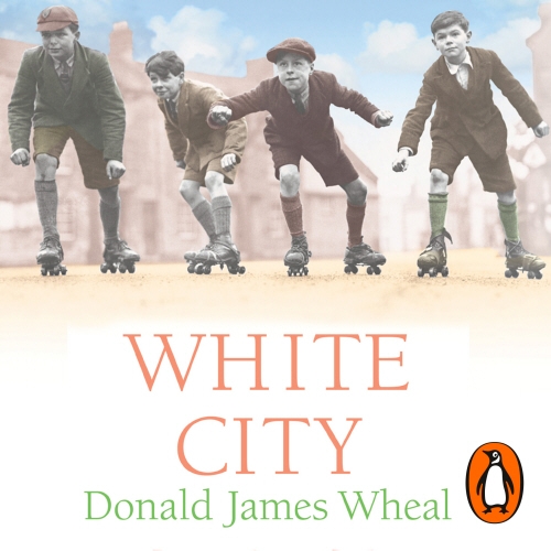 Book cover of White City by Donald James