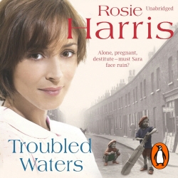 Book cover of Troubled Waters by Rosie Harris