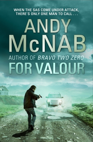 Book cover of For Valour by Andy McNab