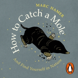 Book cover of How to Catch a Mole by Marc Hamer