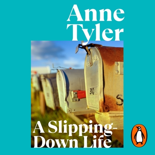 Book cover of A Slipping Down Life by Anne Tyler