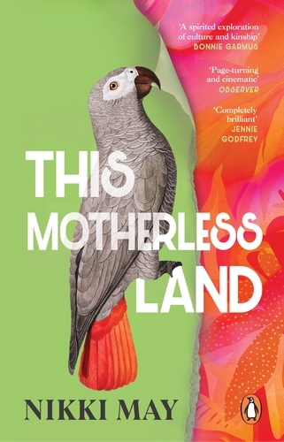 Book cover of This Motherless Land by Nikki May