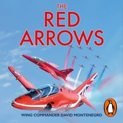 Book cover of The Red Arrows by David Montenegro