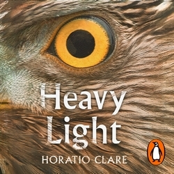 Book cover of Heavy Light by Horatio Clare