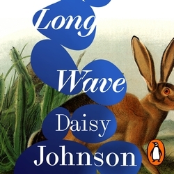 Book cover of Long Wave by Daisy Johnson