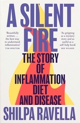 Book cover of A Silent Fire by Shilpa Ravella